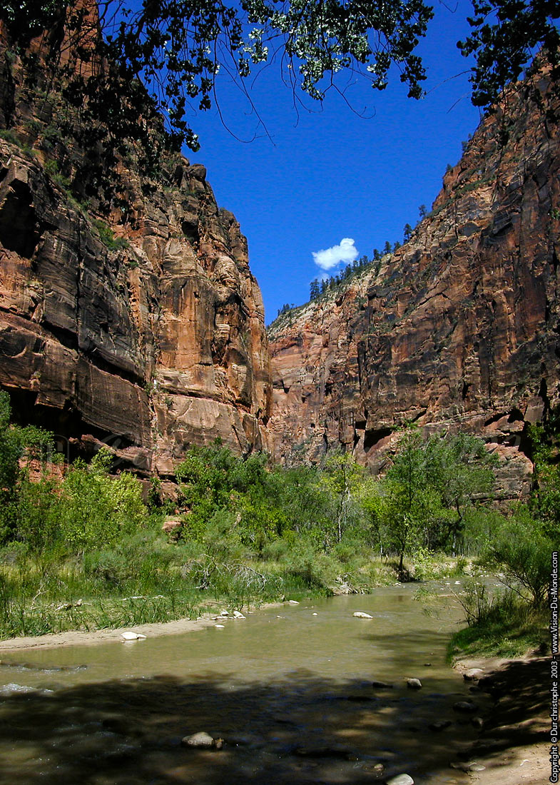 Zion National park - 20003