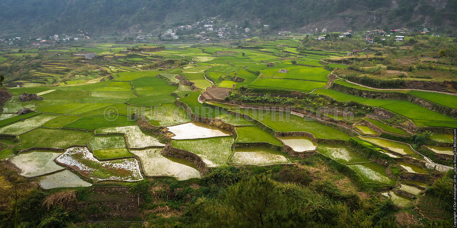 Sagada - Ile de Luzon - 2016