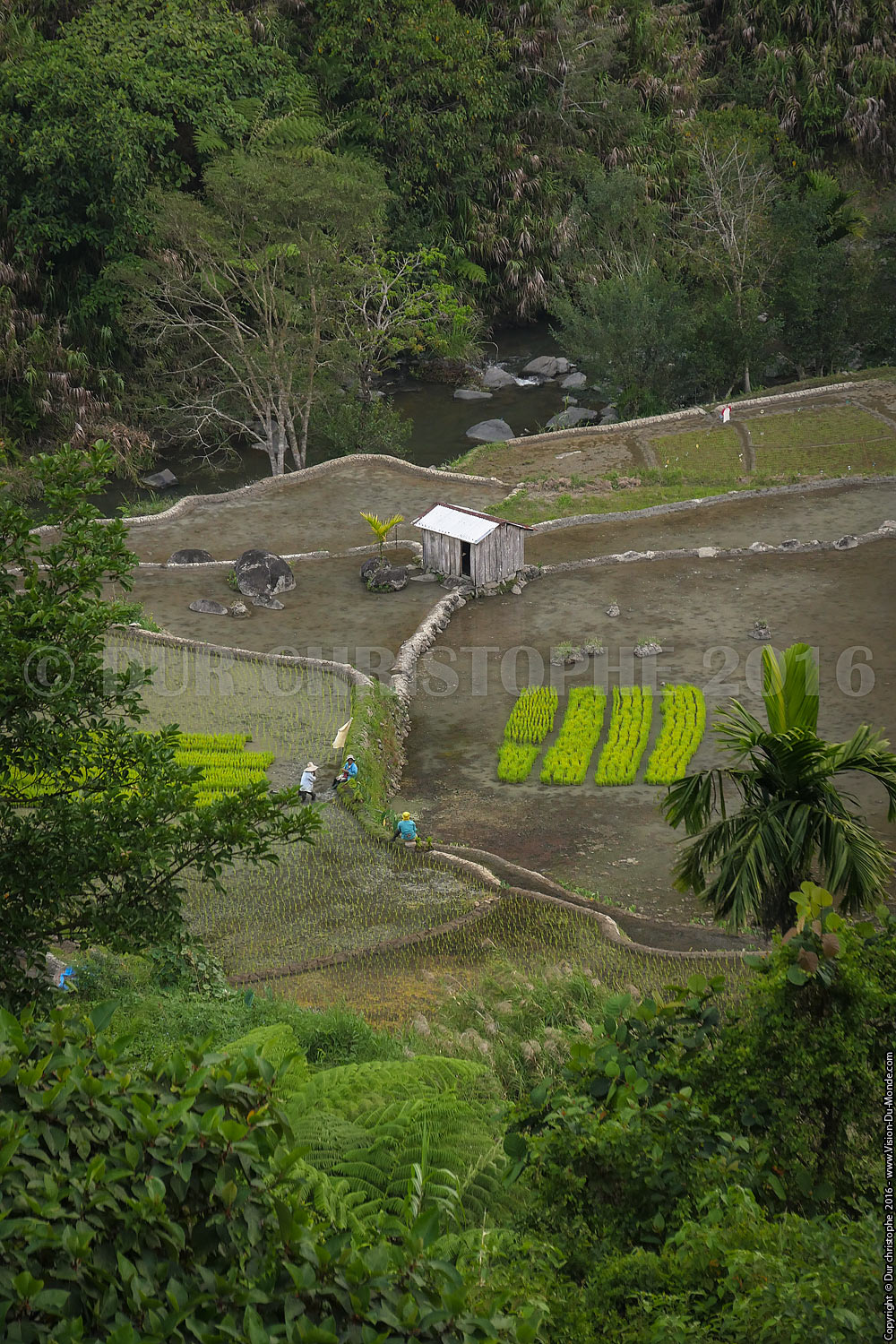 Sagada - Ile de Luzon - 2016