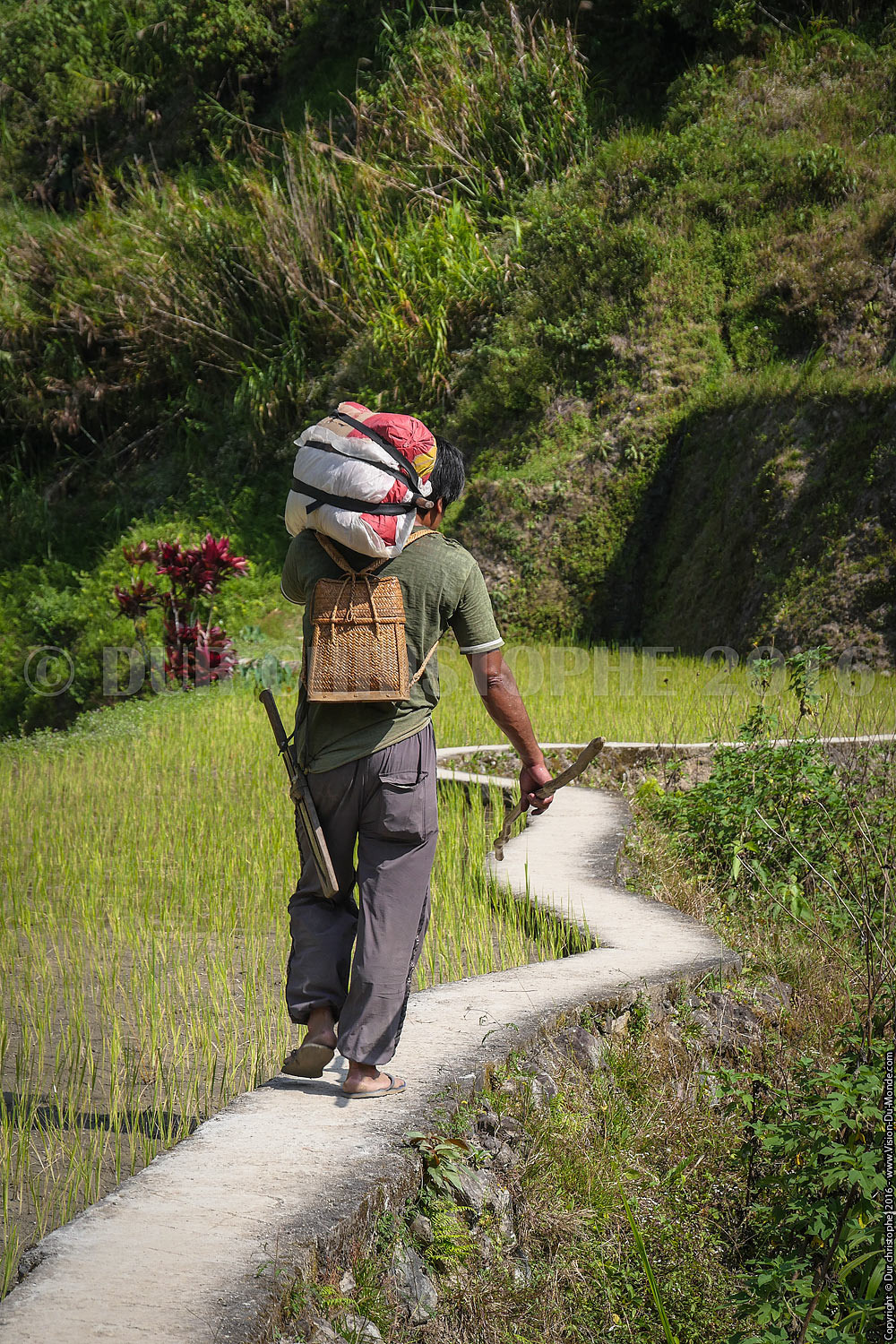 Banaue - Ile de Luzon - 2016