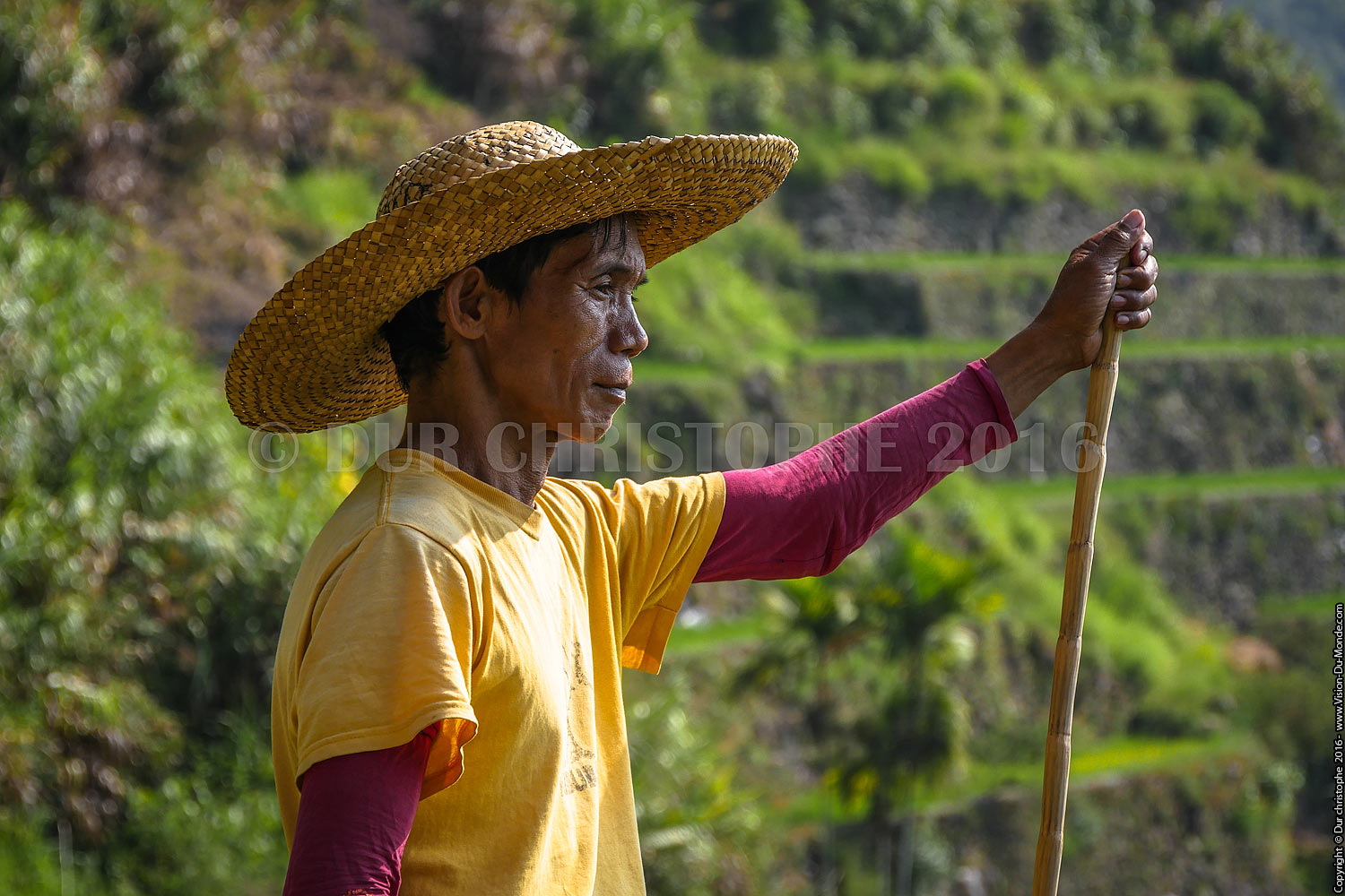Banaue - Ile de Luzon - 2016