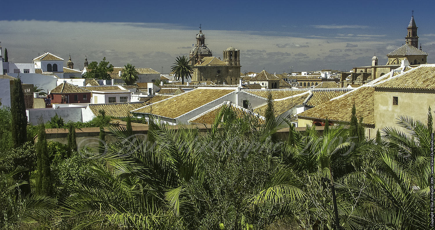 Vue des toits - Carmona - 2005