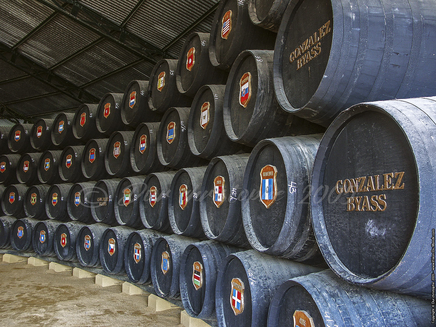 L'export à l'international - Bodega Gonzalez Byass  - Jerez de la Frontera - 2005