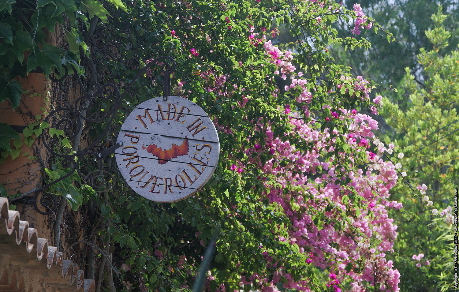 Ile de Porquerolles - 2022