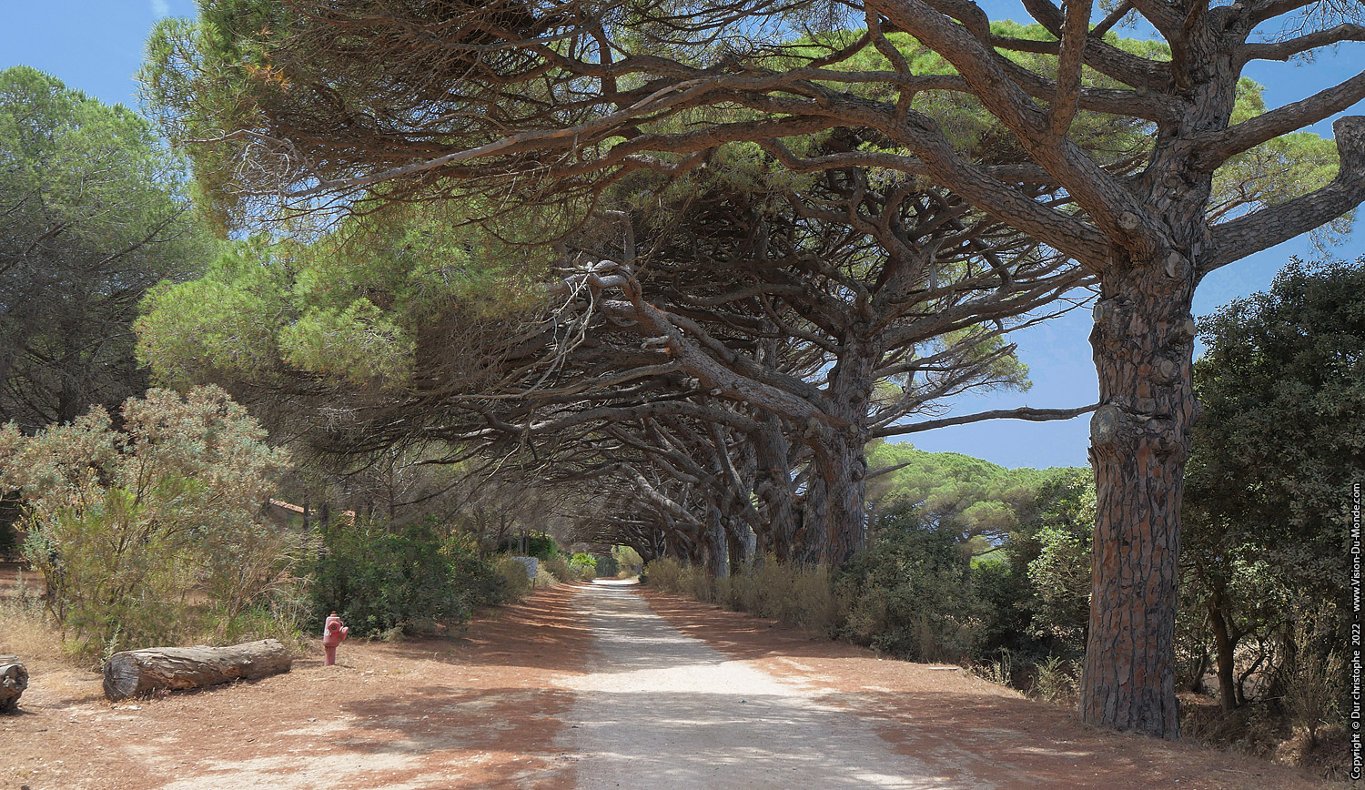 Ile de Porquerolles - 2022