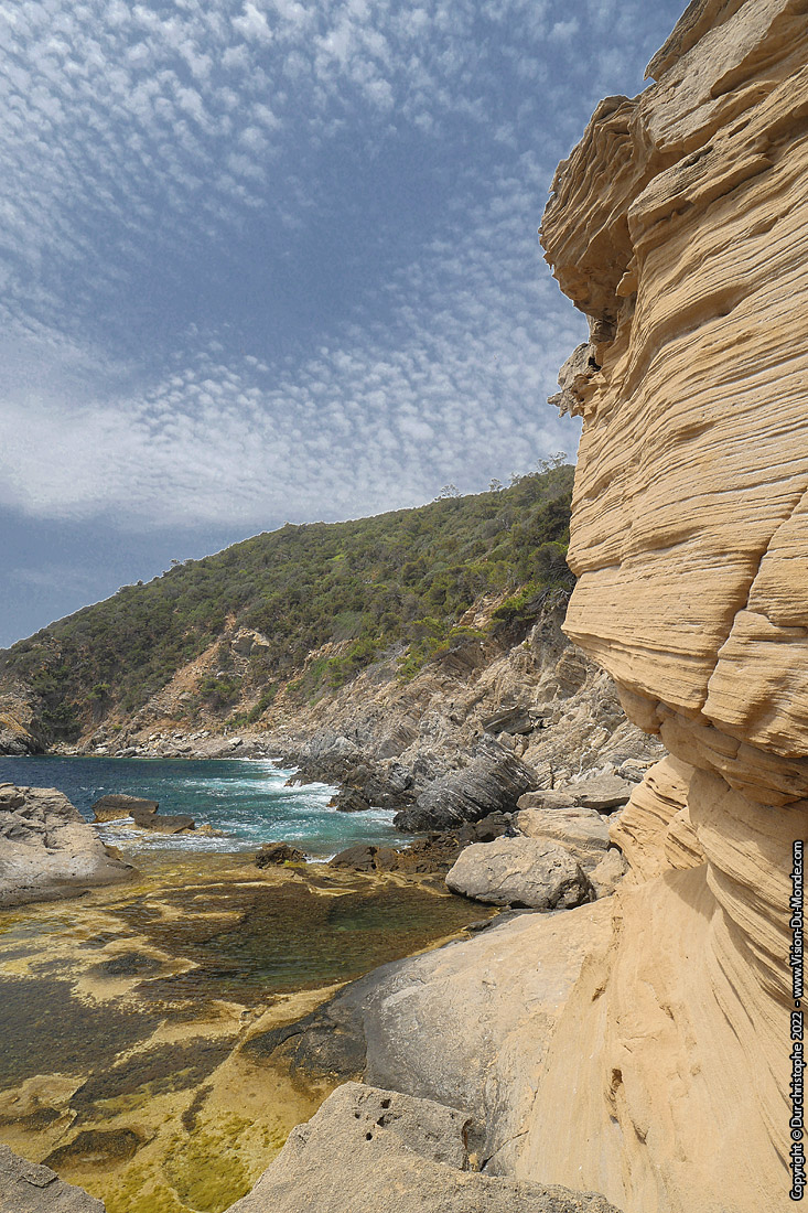 Iles de Port Cros - 2022