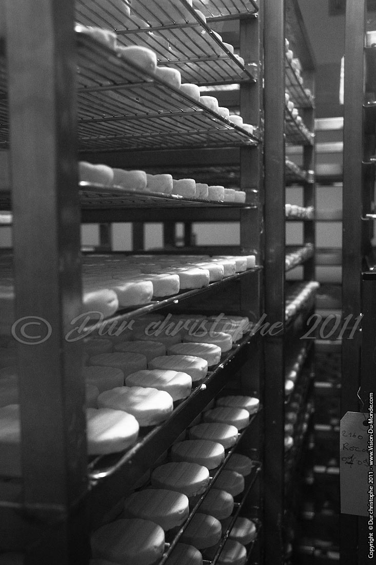 La Ferme la Borie D'imbert - Lot