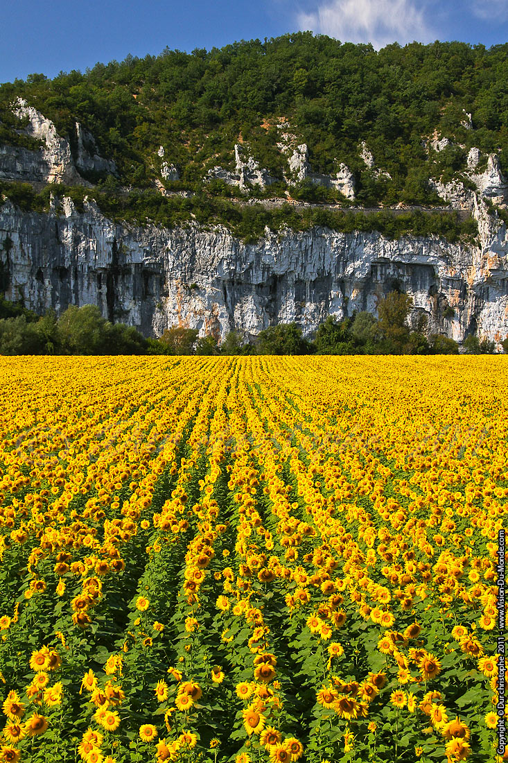 Saint Cirq Lapopie - Lot