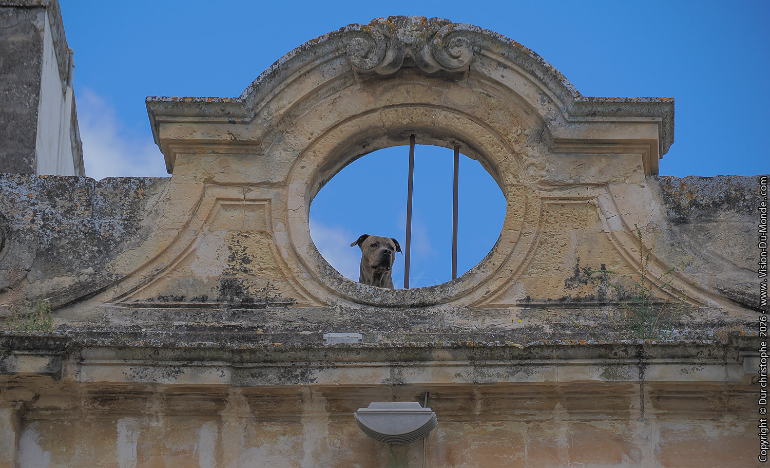 Lecce - 2026