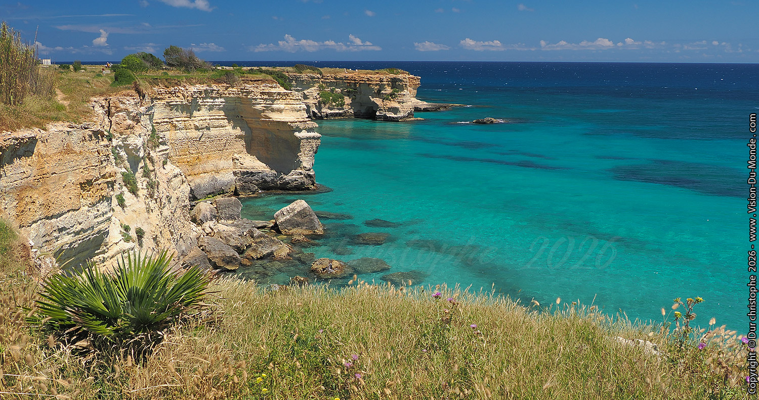 Falaises - 2026