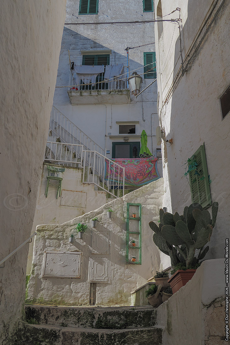 Ostuni - 2026