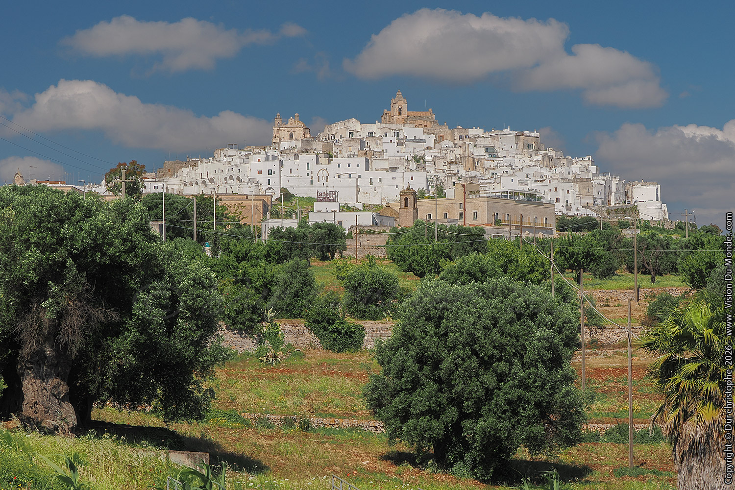 Ostuni - 2026