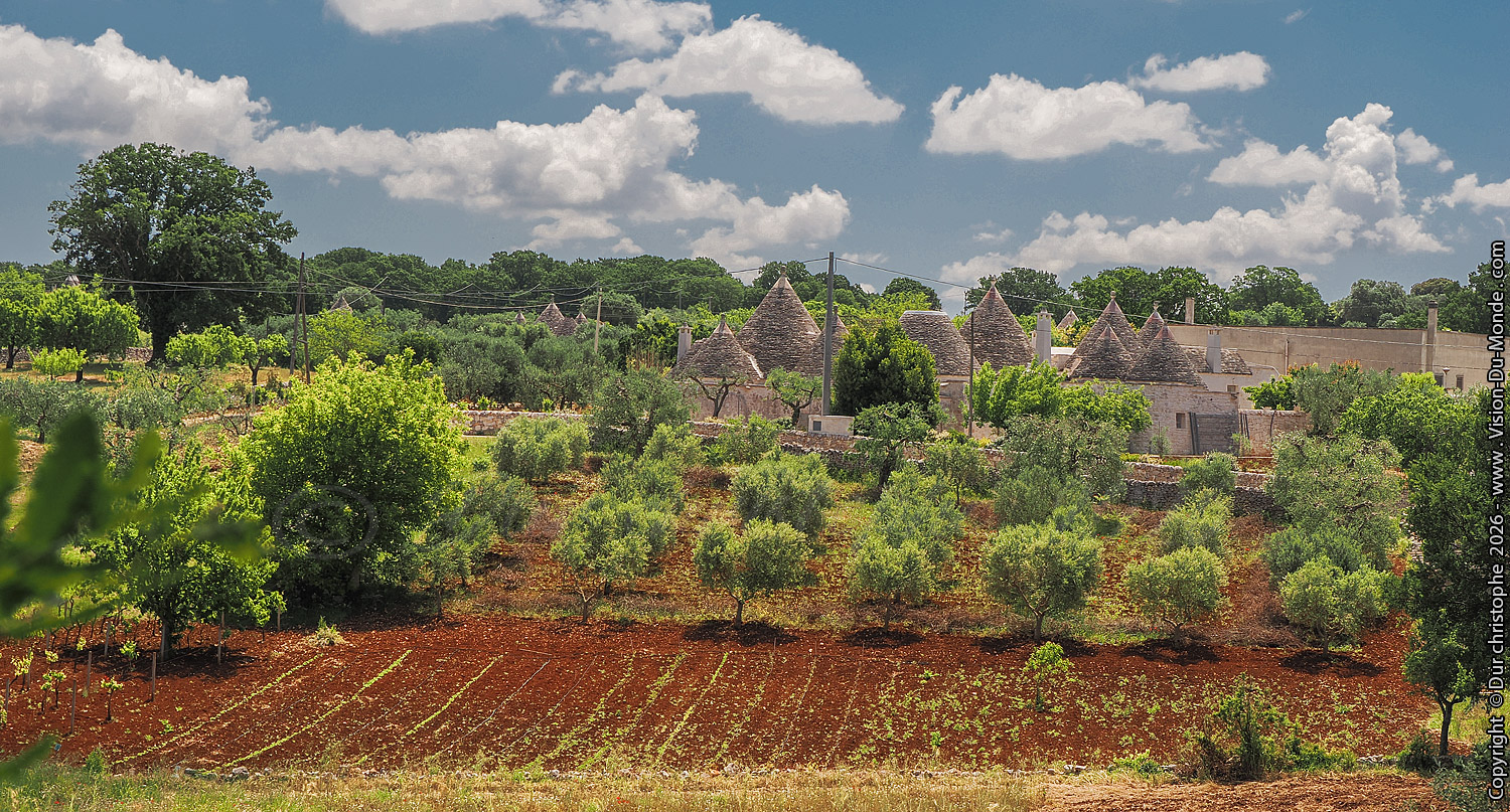 Trulli et les oliviers - 2026