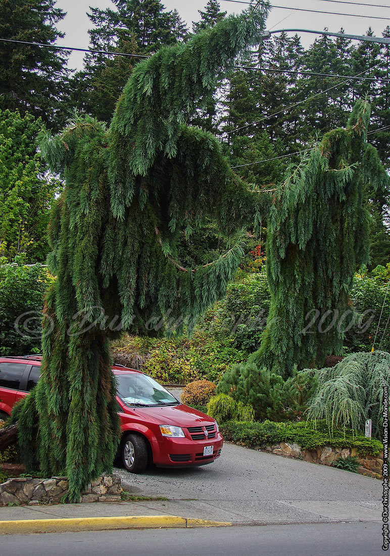 Vancouver - 2009