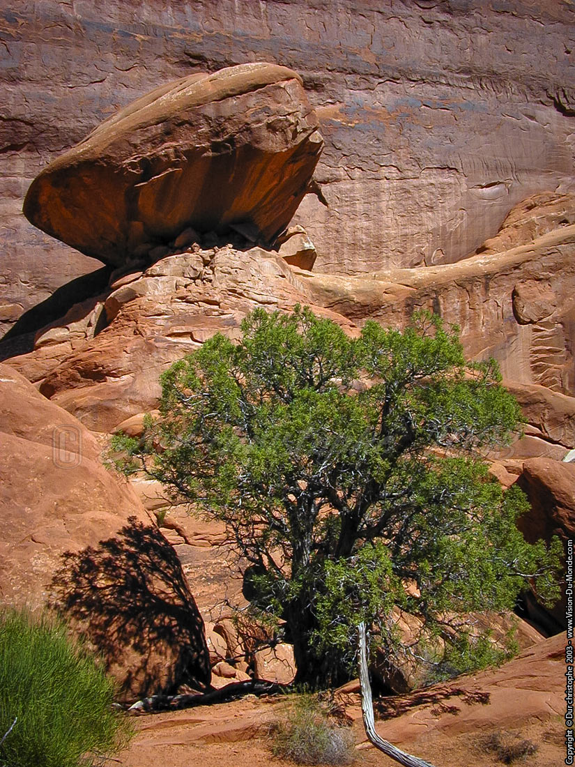 The rock - Arches National park - 2003