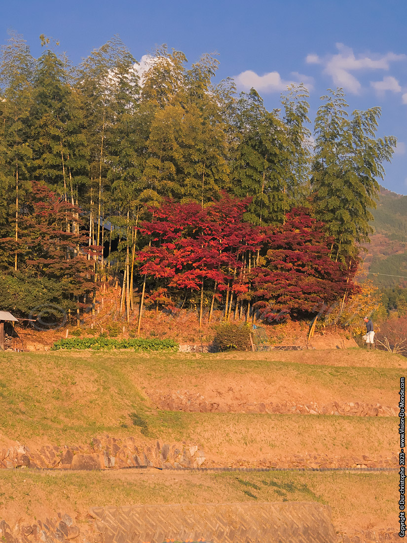 Magome-juku