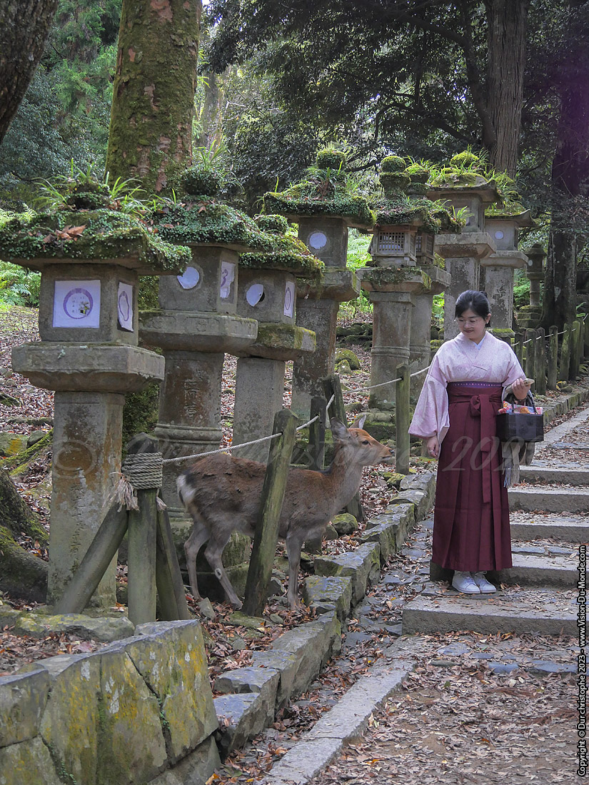 Nara