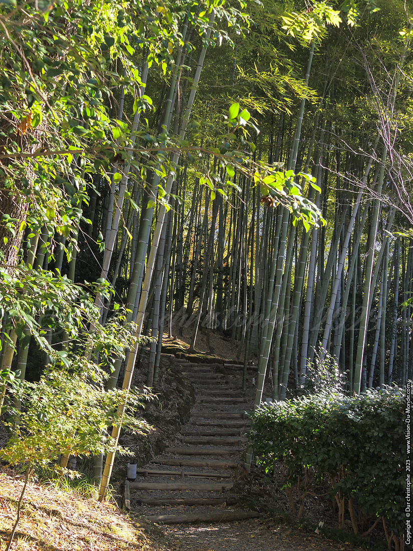 Kyoto