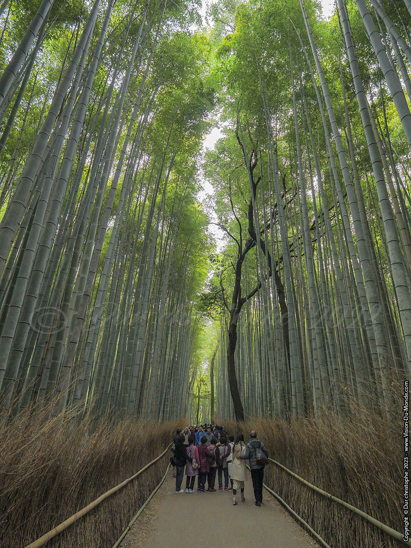 Kyoto