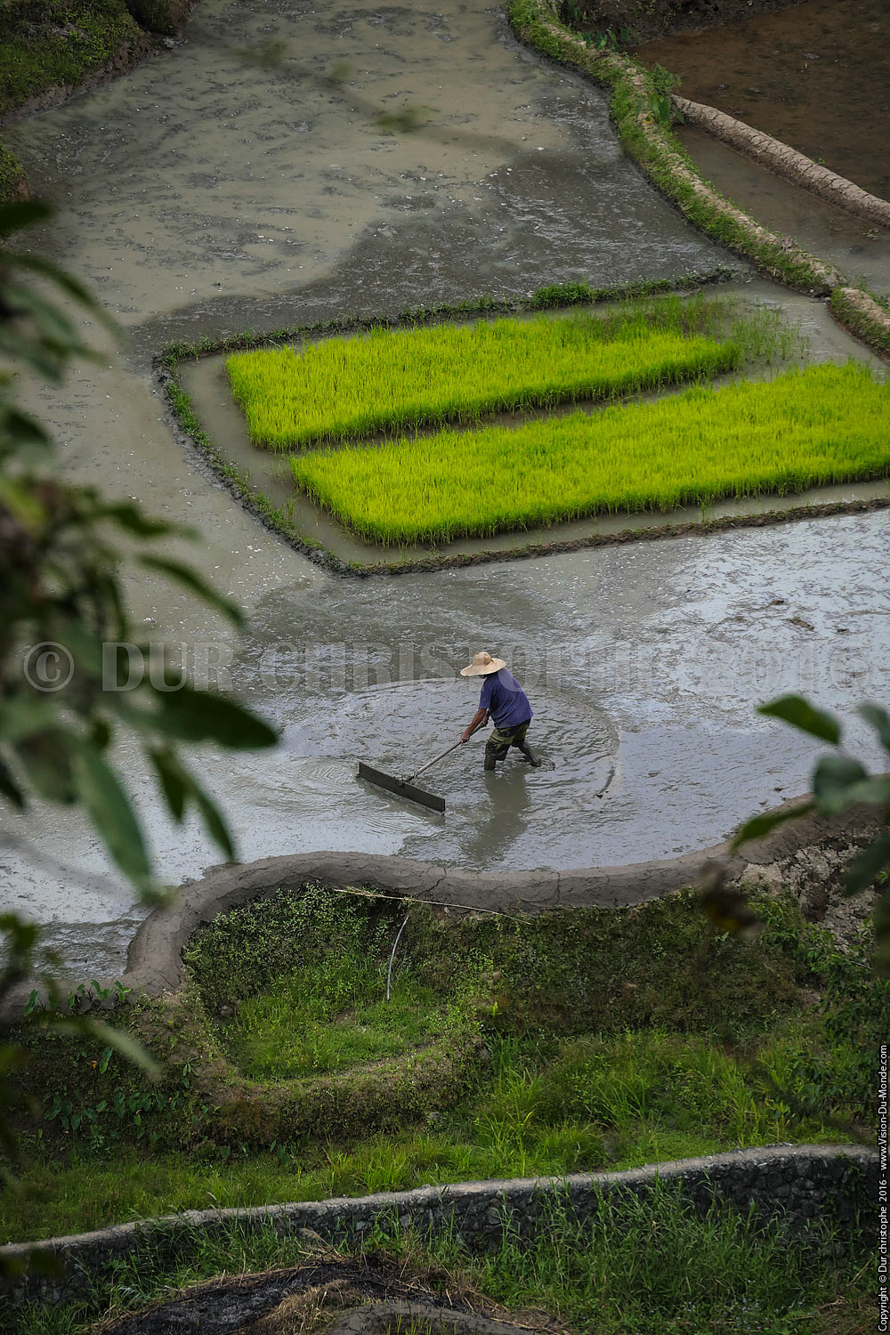Sagada - Ile de Luzon - 2016