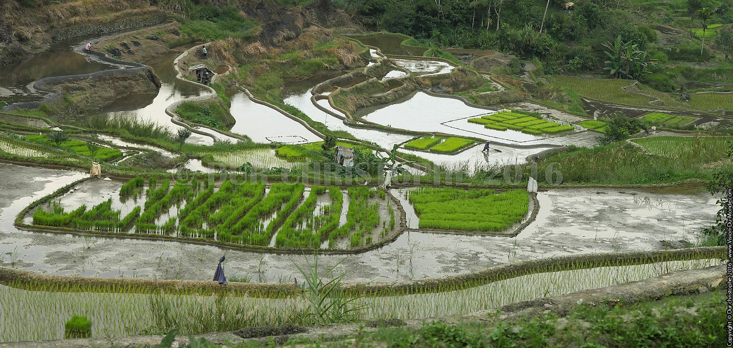 Sagada - Ile de Luzon - 2016
