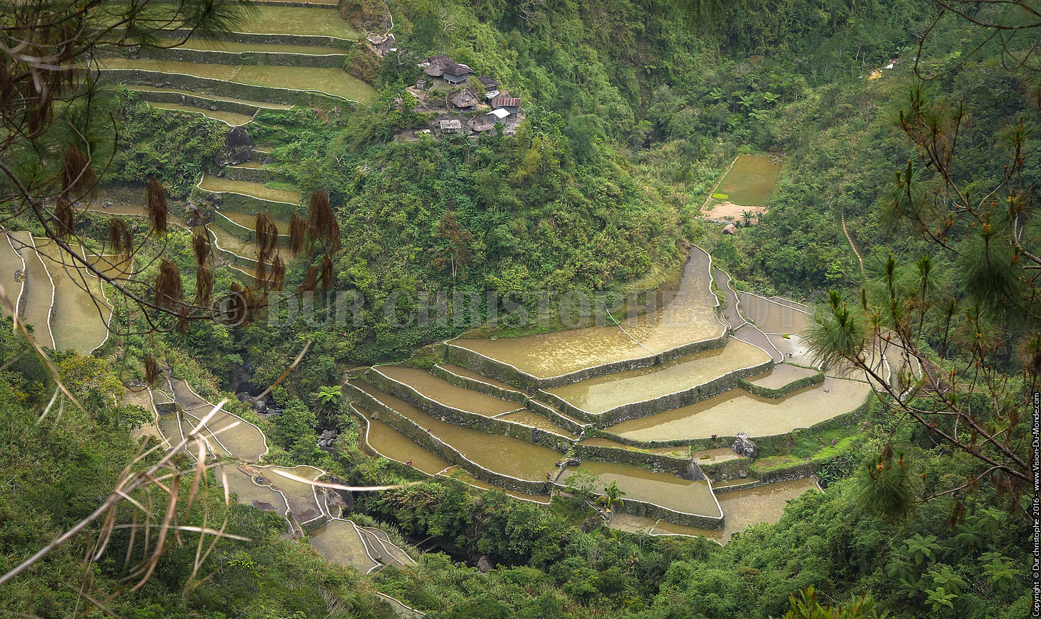 Banaue - Ile de Luzon - 2016