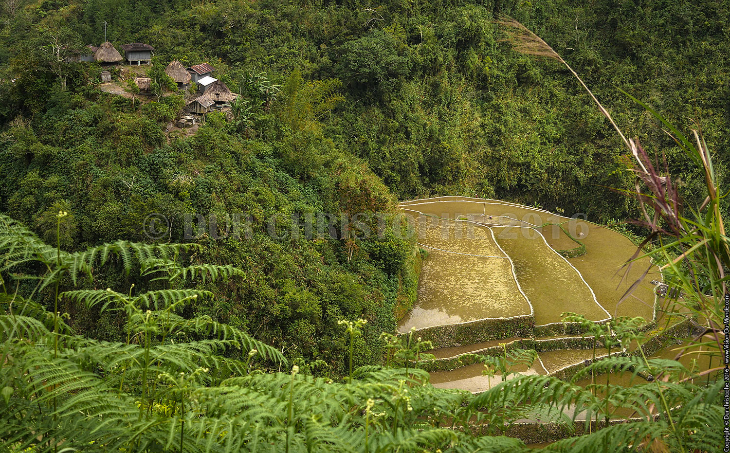 Banaue - Ile de Luzon - 2016
