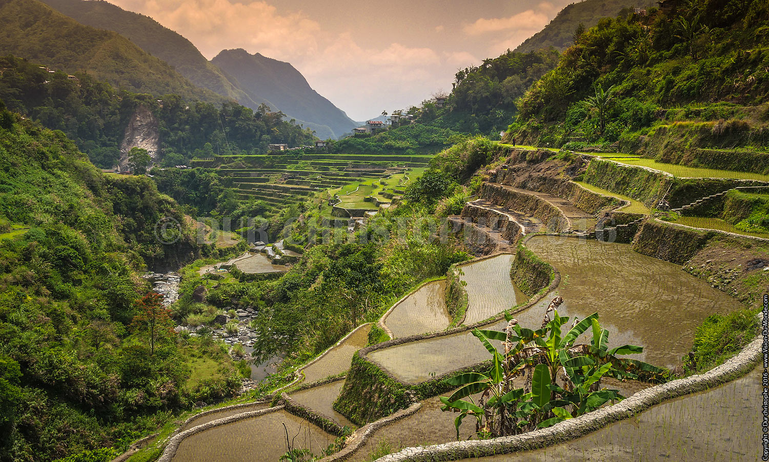 Banaue - Ile de Luzon - 2016