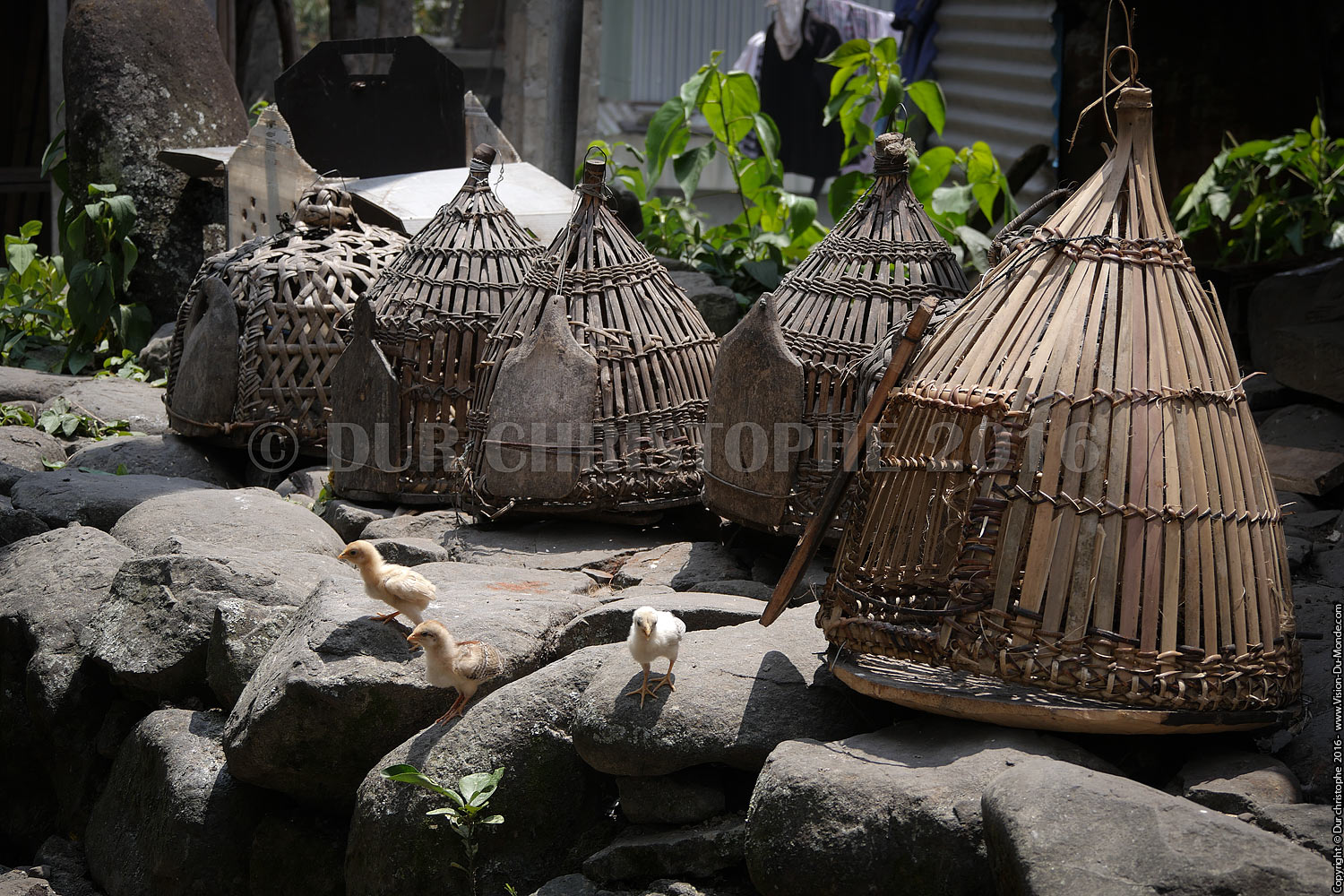 Banaue - Ile de Luzon - 2016