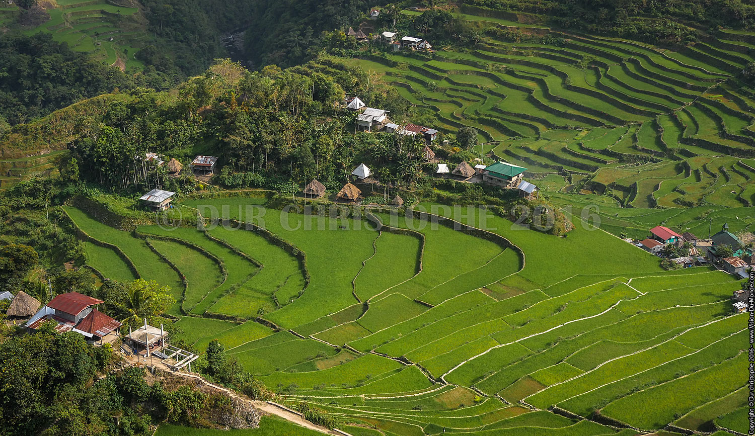 Banaue - Ile de Luzon - 2016