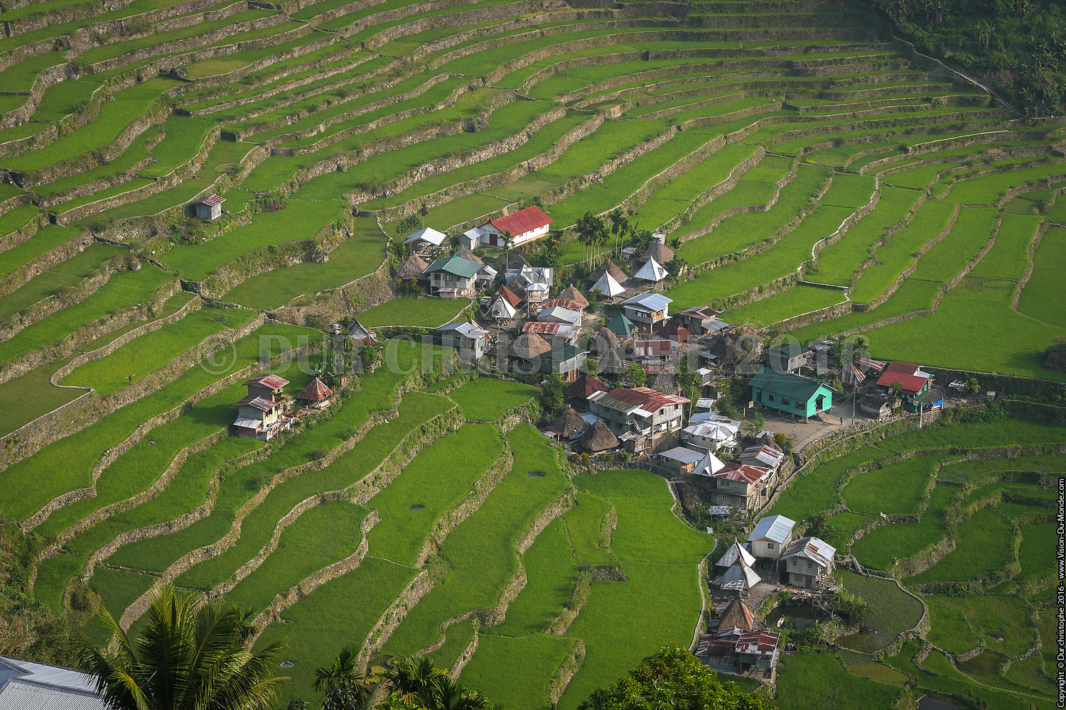 Banaue - Ile de Luzon - 2016