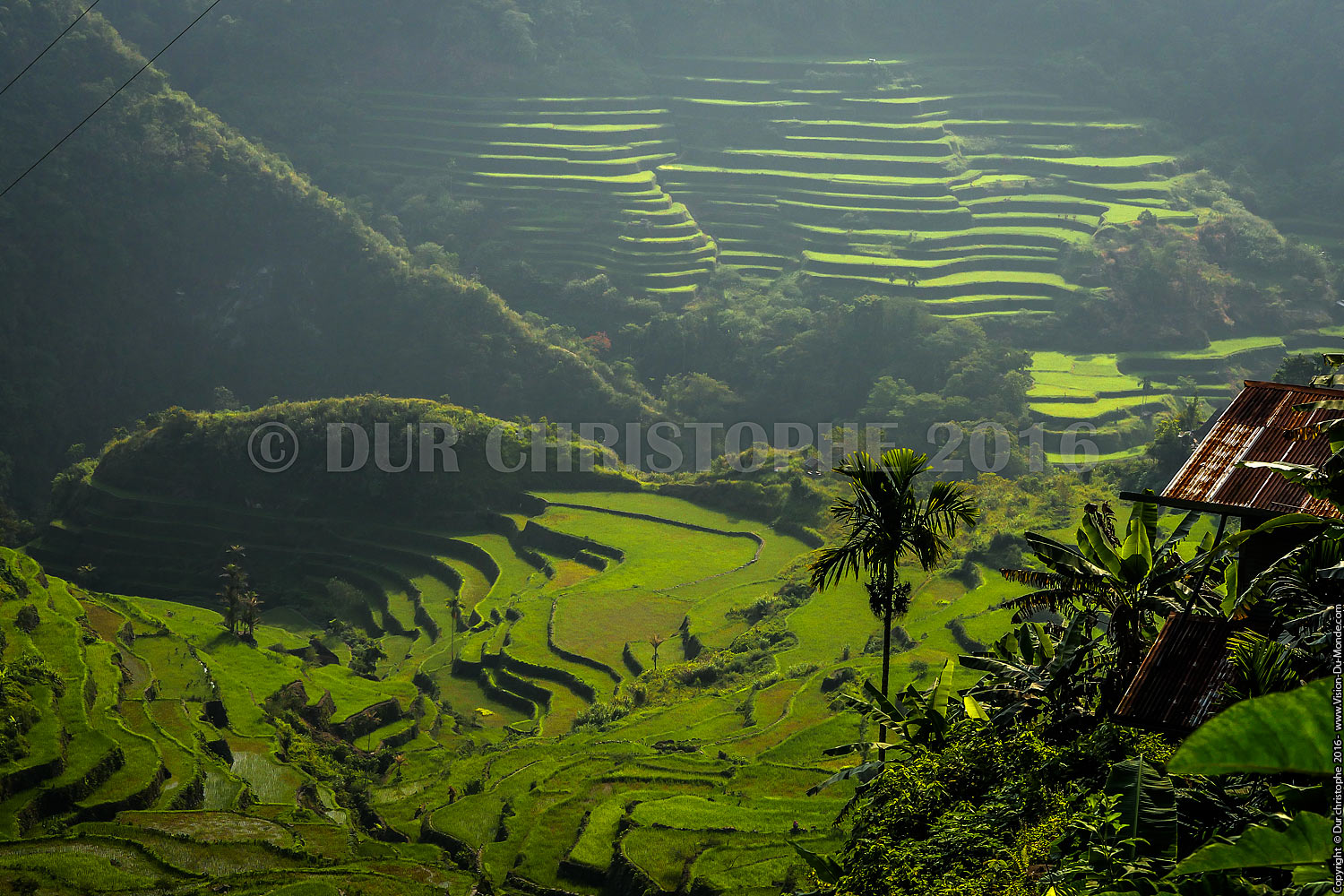 Banaue - Ile de Luzon - 2016