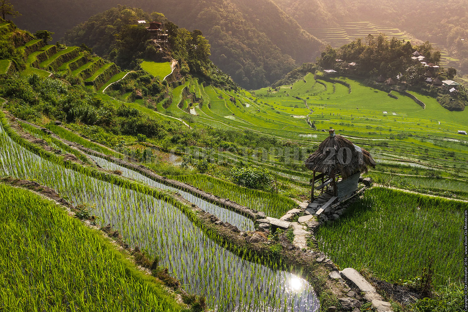 Banaue - Ile de Luzon - 2016
