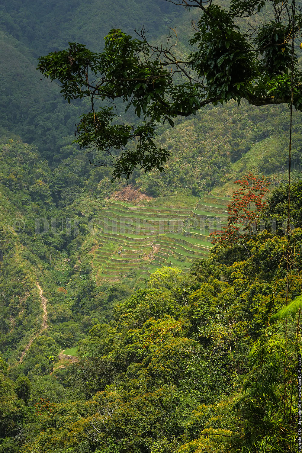 Banaue - Ile de Luzon - 2016