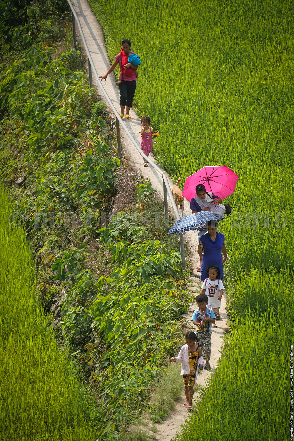 Banaue - Ile de Luzon - 2016