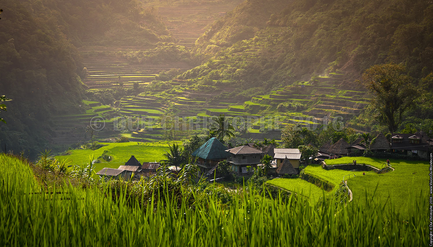 Banaue - Ile de Luzon - 2016