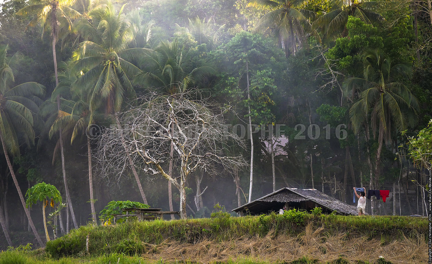 Habitation dans rizières - Ile de Bohol - 2016
