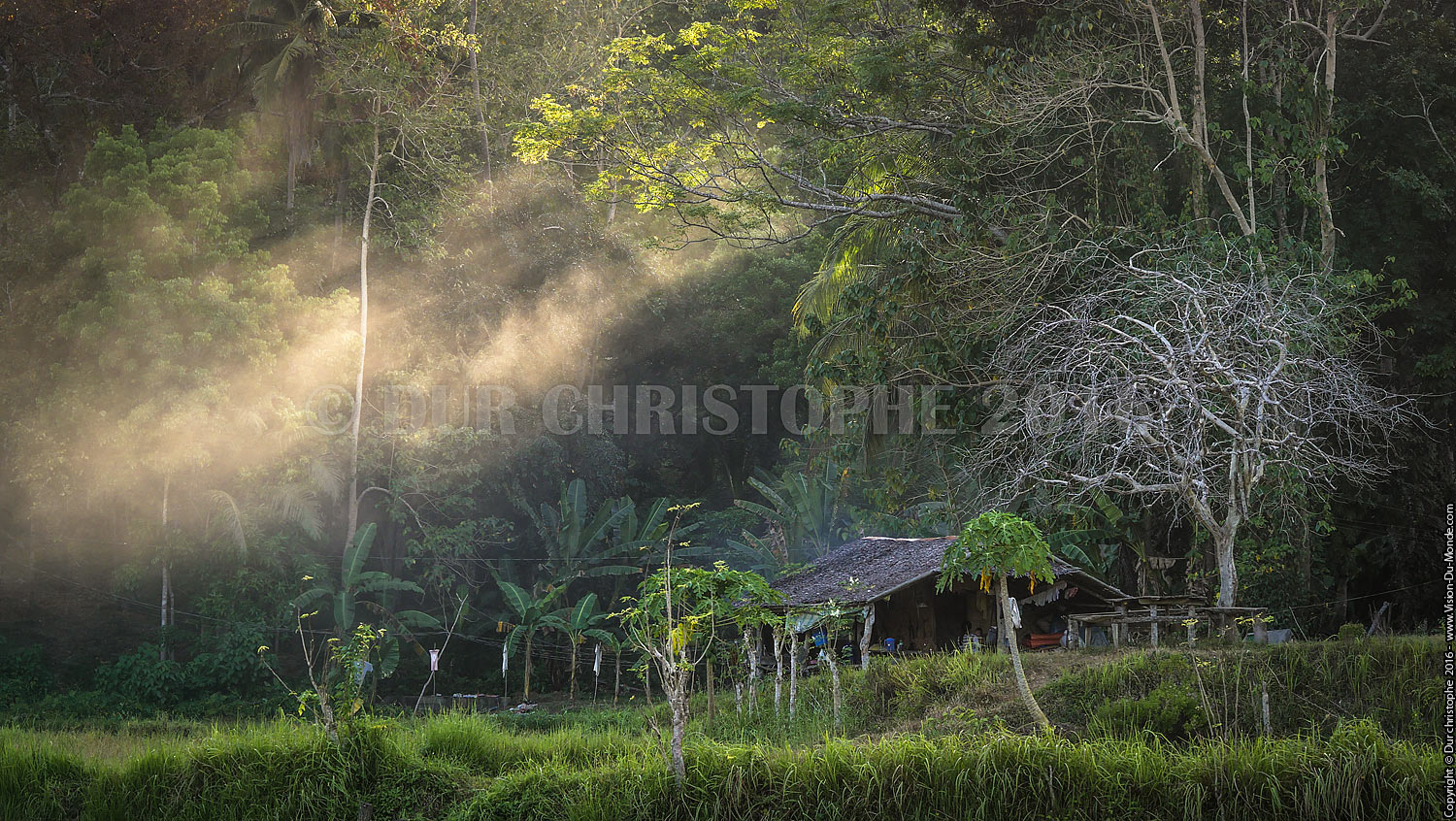 Habitation dans rizières - Ile de Bohol - 2016