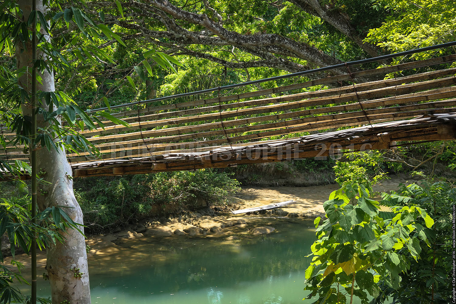 Le pont de bambous  - Ile de Bohol - 2016
