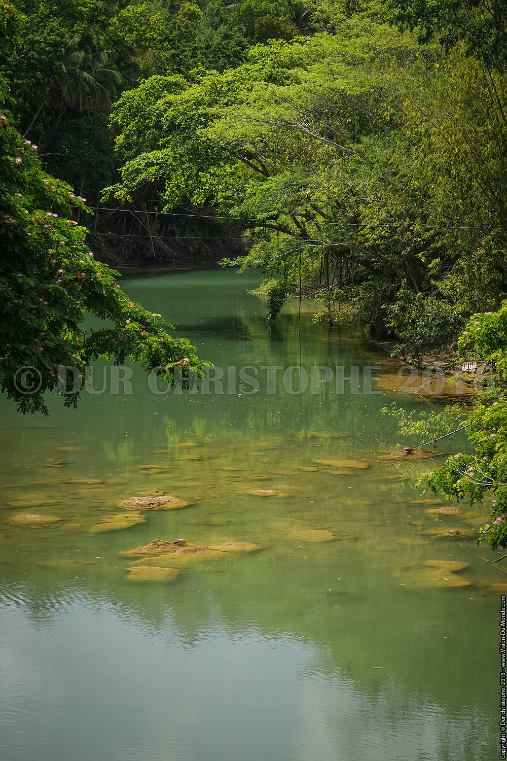 Rivière  - Ile de Bohol - 2016