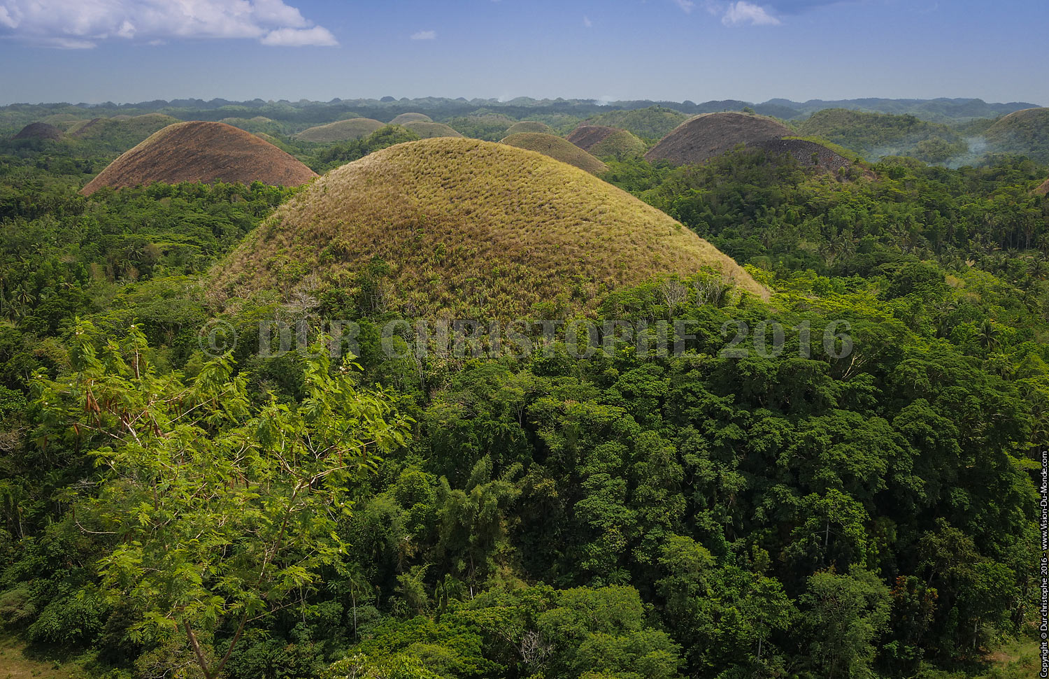 Chocolate hills - Ile de Bohol - 2016