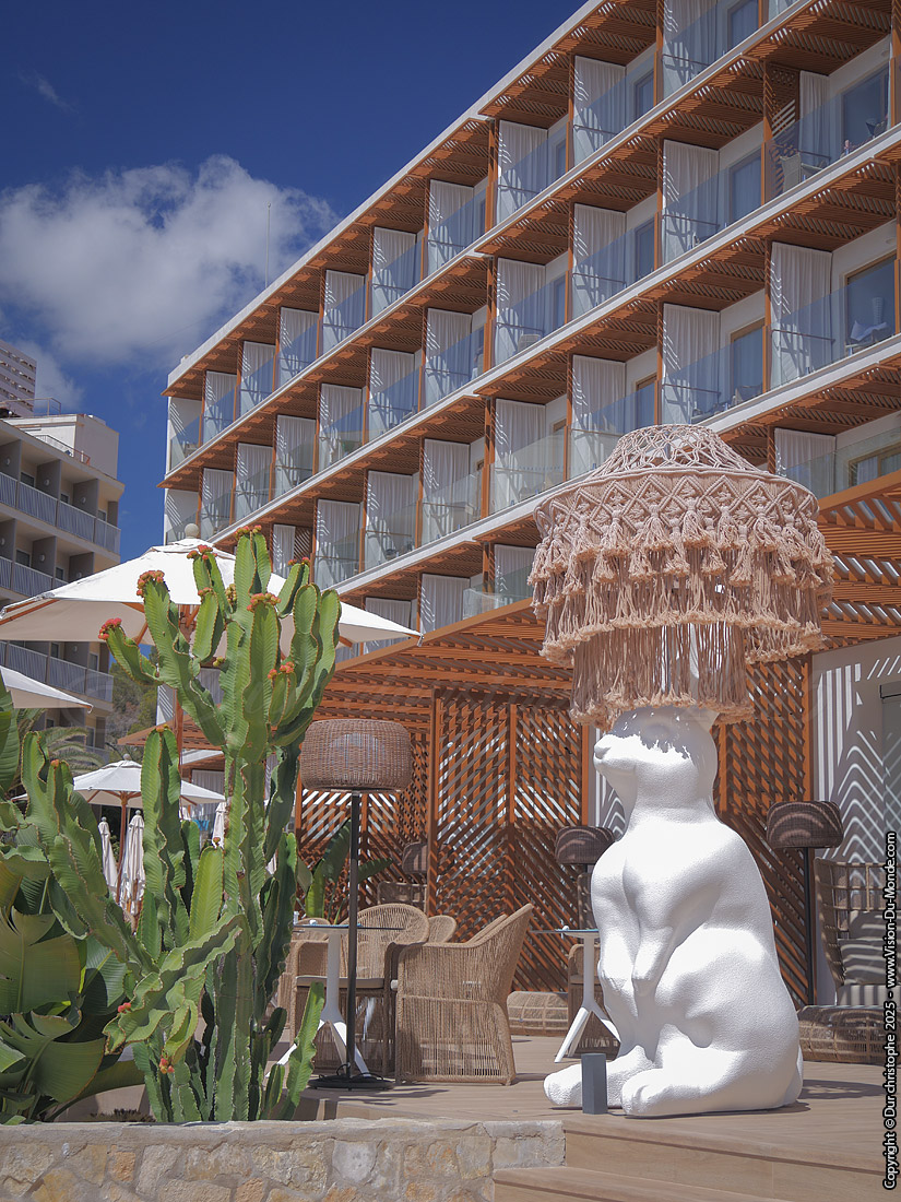 Cala de Sant Vicent - 2025