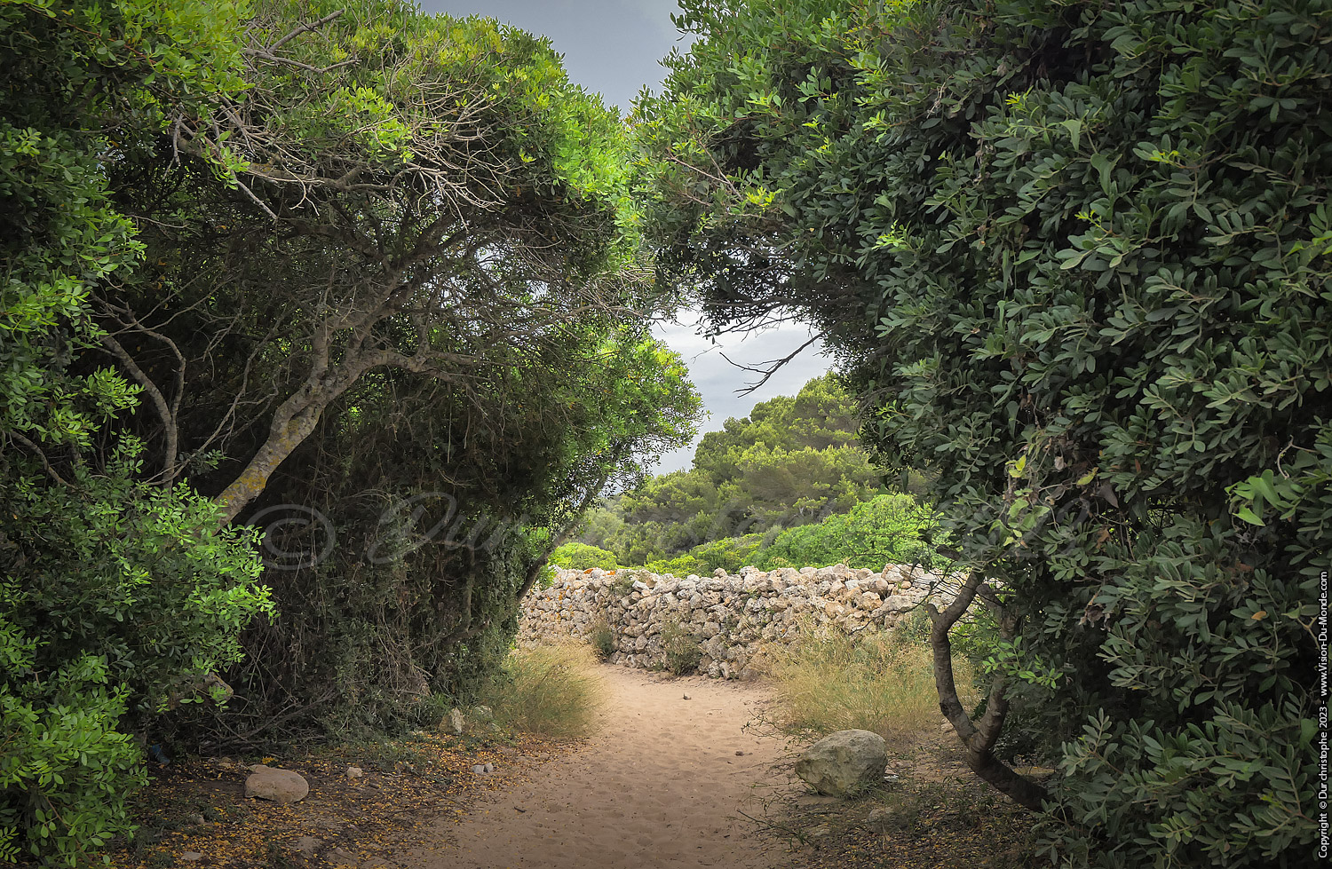 Sant Thomas