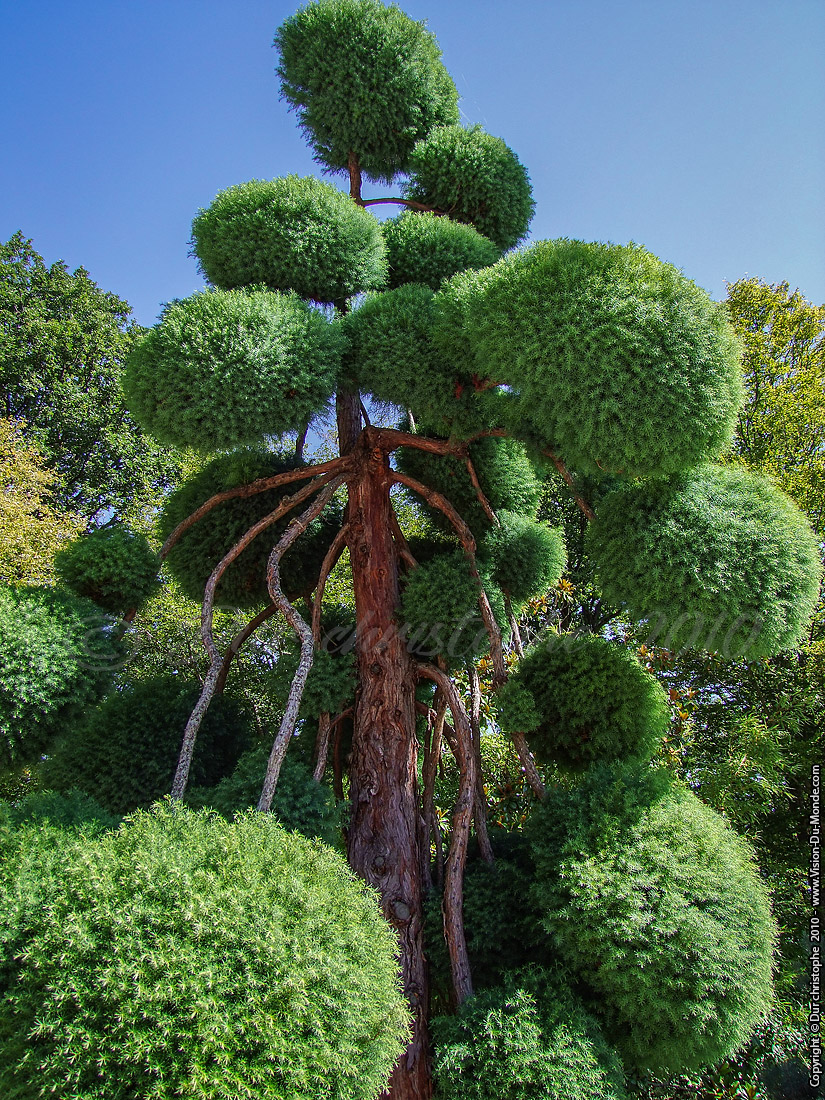 Jardin Botanique - Orléans - 2010