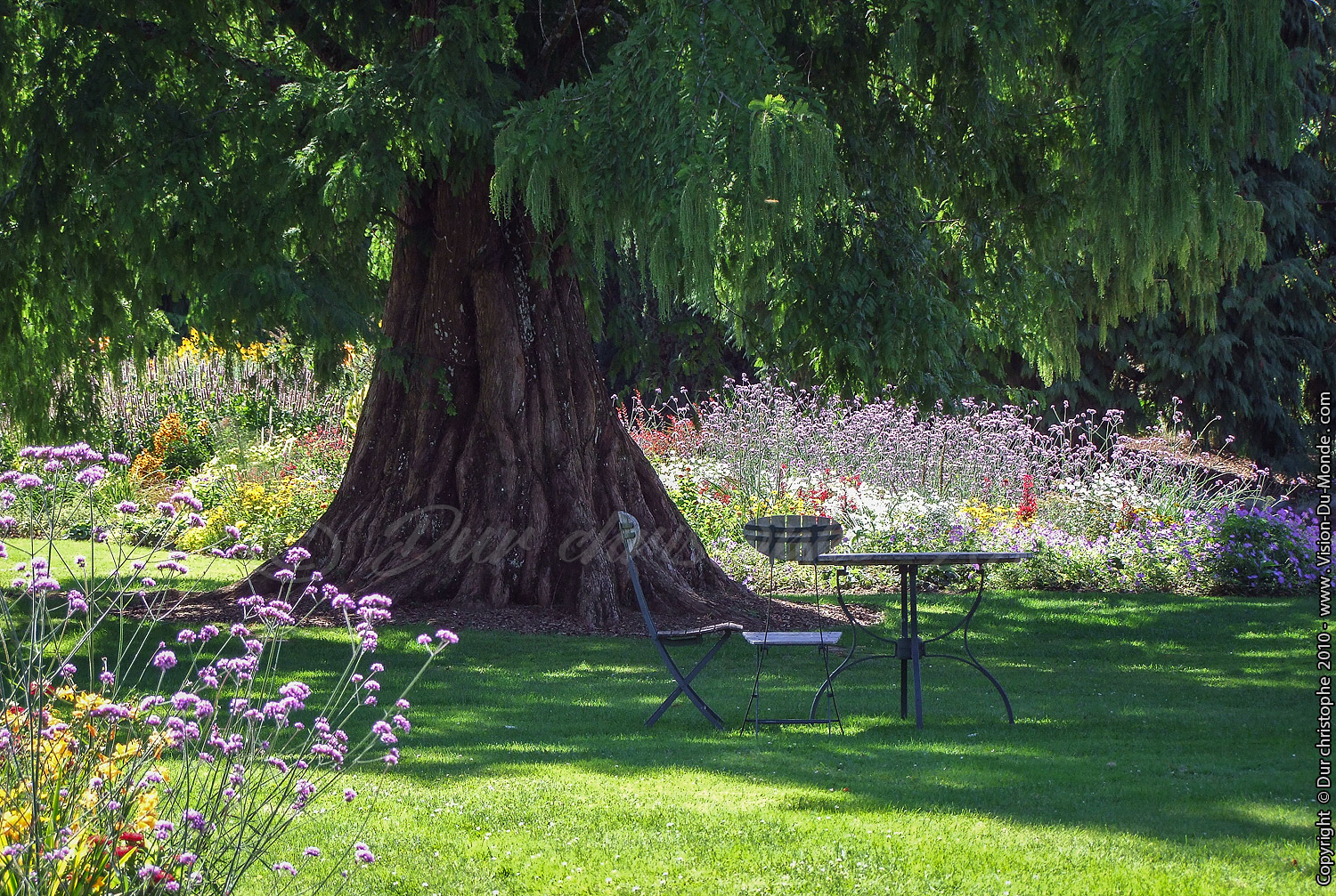 Jardin Botanique - Orléans - 2010
