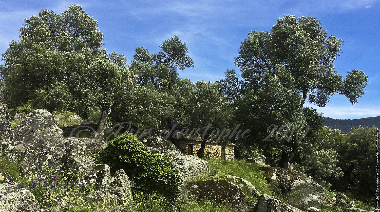 Filitosa024