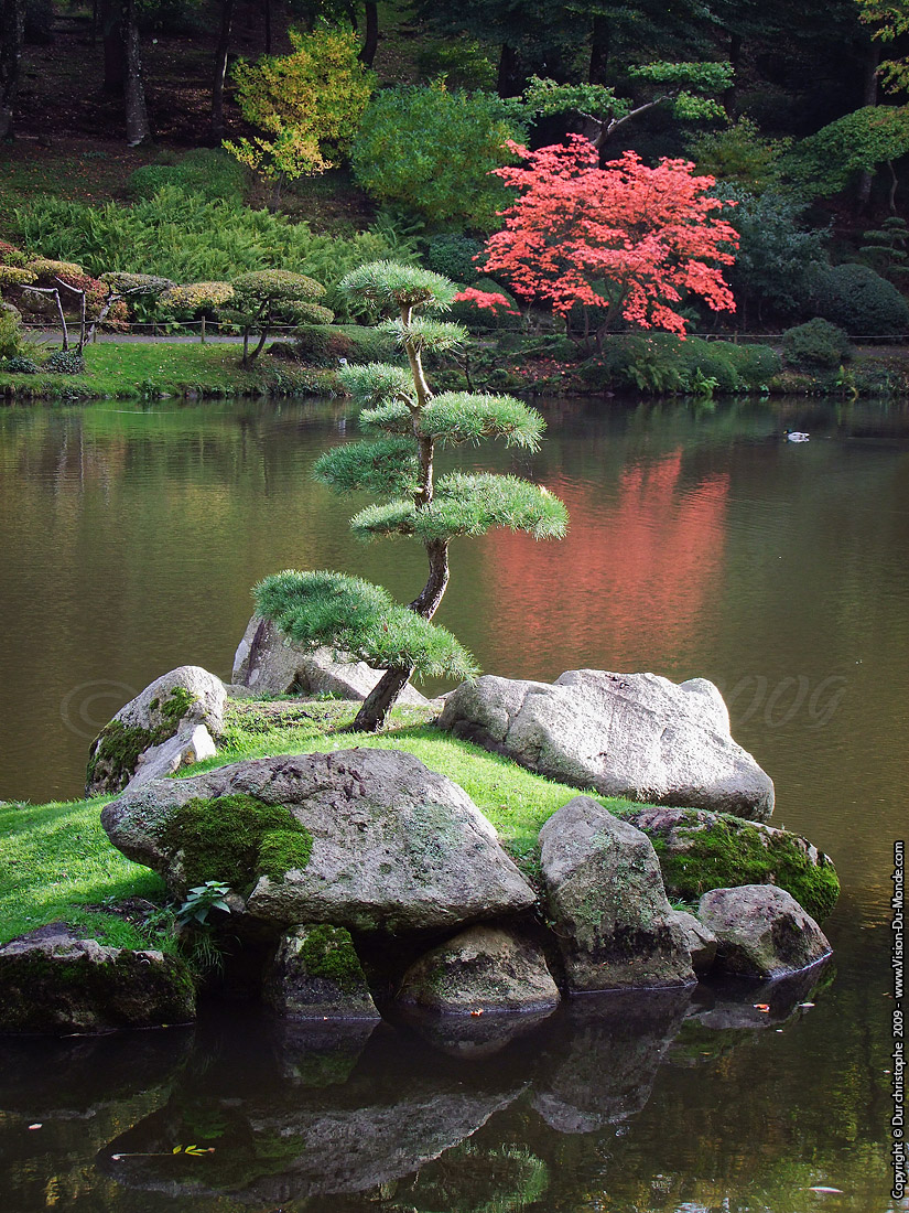 Parc Oriental Japonais de Maulévrier - 2009